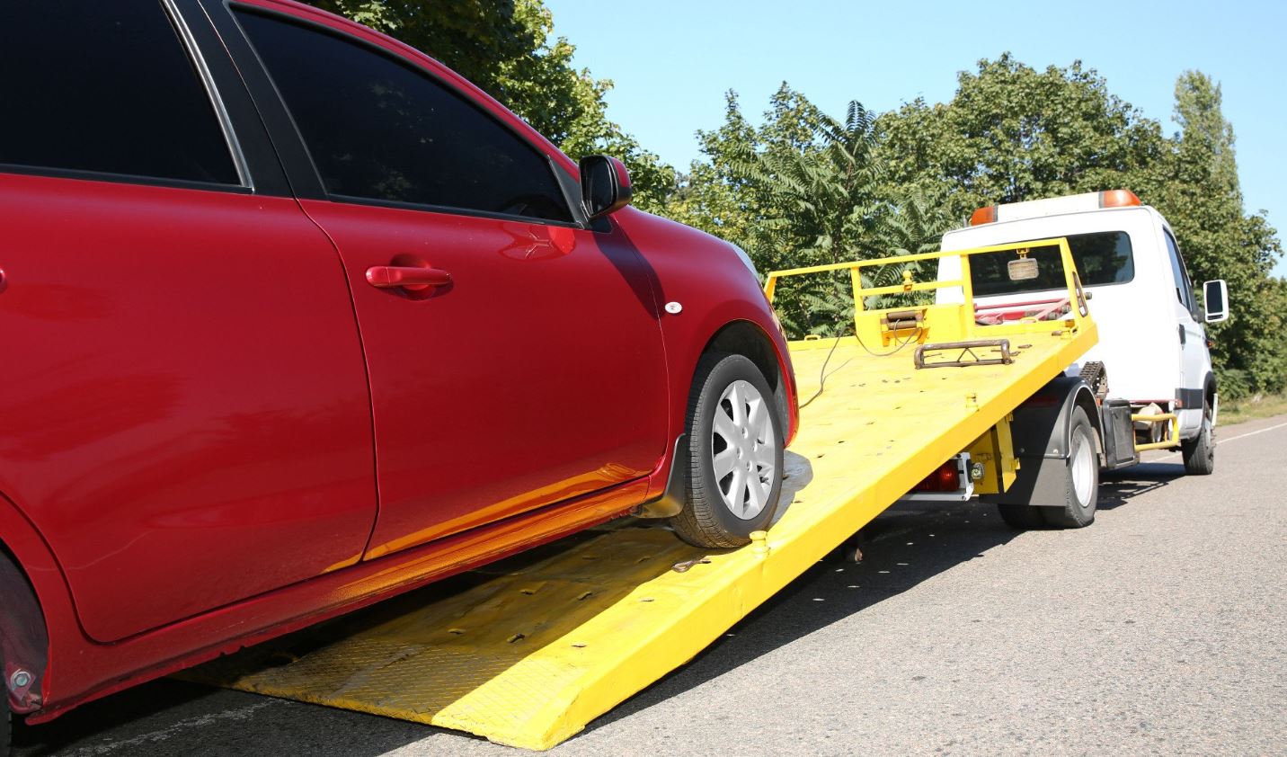 Trans Island Towing Ltd photo